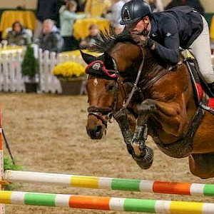 🐎 Springreiten im PSK Oberschwaben – Höhenflüge mit Herz und Hindernis!