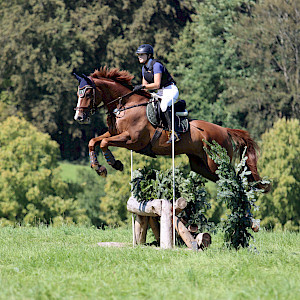 🏆 PSK Oberschwaben-Meister Vielseitigkeit 2025 🏆