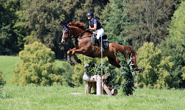 🏆 PSK Oberschwaben-Meister Vielseitigkeit 2025 🏆