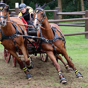 🏆 PSK Oberschwaben-Meister Fahren 2025 - Jahresauftakt