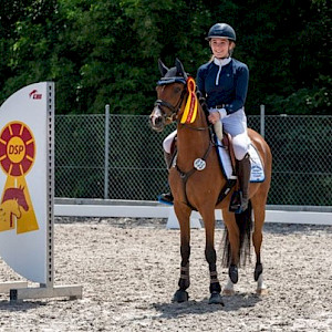 🏇 Württembergische Meisterschaften - Reiter ermitteln auf dem Lußhof die württembergischen Meister
