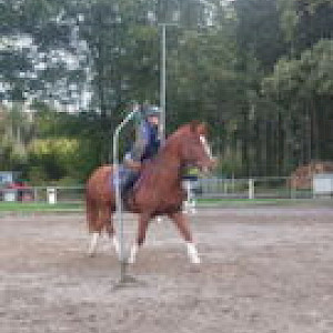 🏆 PSK Oberschwaben-Cup Breitensport 2024 - Hauerz Finale