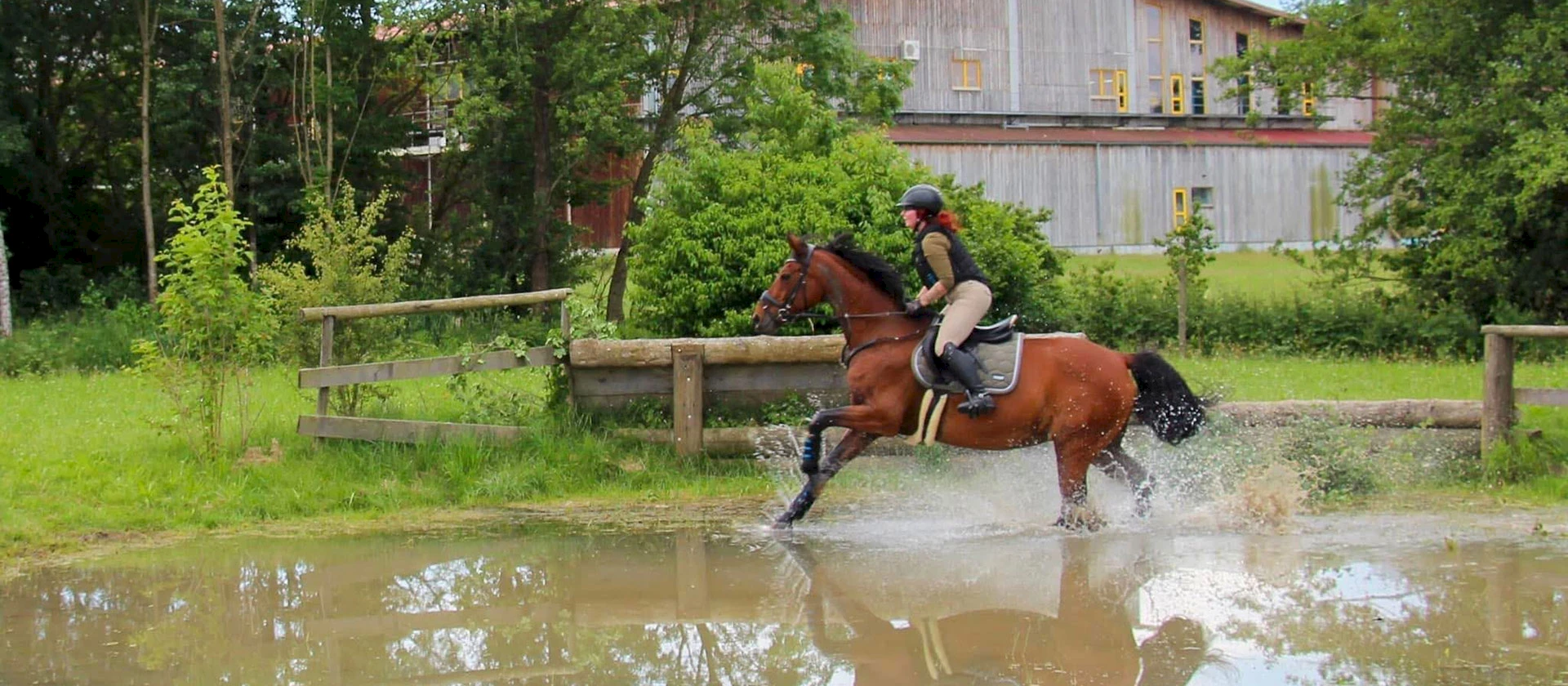 Willkommen beim Pferdesportkreis Oberschwaben