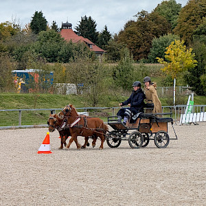 Zwischenstand PSK Oberschwaben-Cup Breitensport 2025 - Wangen🏅