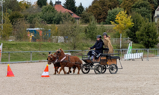 Zwischenstand PSK Oberschwaben-Cup Breitensport 2025 - Wangen🏅