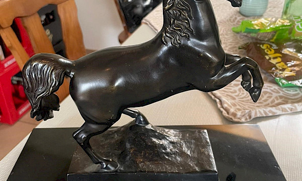 🏆 WPSV-Fördergruppenturnier Schwendi - Final-GOLD: Dressur & Springen - Mannschaft U14 2025 🏆