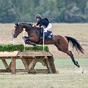 Vielseitigkeit: Internationale Siege für Helena Himstedt im ungarischen Babolna 🐎✨