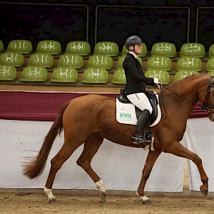 Vajana siegte im Finale des Gert-Gussmann-Cups 2025 unter Margit Hagel. / © DoMa Vajana siegte im Finale des Gert-Gussmann-Cups 2025 unter Margit Hagel. / © DoMa