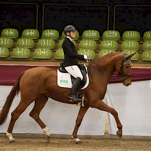 Vajana siegte im Finale des Gert-Gussmann-Cups 2025 unter Margit Hagel. / © DoMa