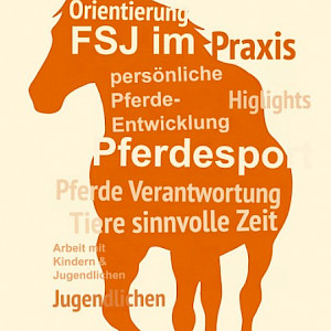 Ein Jahr, das Türen öffnet – Dein FSJ im Pferdesport 🌟