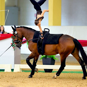 FBW Candy - Traumstart in Monza: Alice Layher setzt mit Top-Note ein Ausrufezeichen ✨🏆