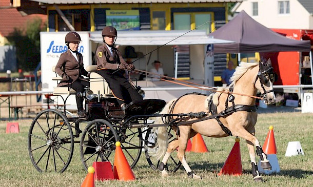 🏆 Doppel-Gold & Single-Silber-Erfolg bei den Baden-Württembergischen Meisterschaften U25 im Fahrsport! 🏆