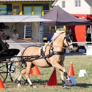 Anna Grundmann mit Pony Jina heute in Ichenheim  /  © Herbert Rauser