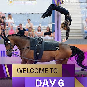 ClipMyHorse.TV Deutschland ist hier: CHIO Aachen. ClipMyHorse.TV Deutschland ist hier: CHIO Aachen.