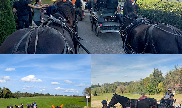 Sonne, Spaß und PSKO-Punkte: Orientierungsfahrt in Wangen begeistert auf ganzer Linie 🐴☀️🏆