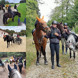 🐴🎉 PSKO-Cup/Meisterschaft: Was für ein Finale in Hauerz! Gewinner der letzten Station der PSKO-Breitensportcupserie 2026!